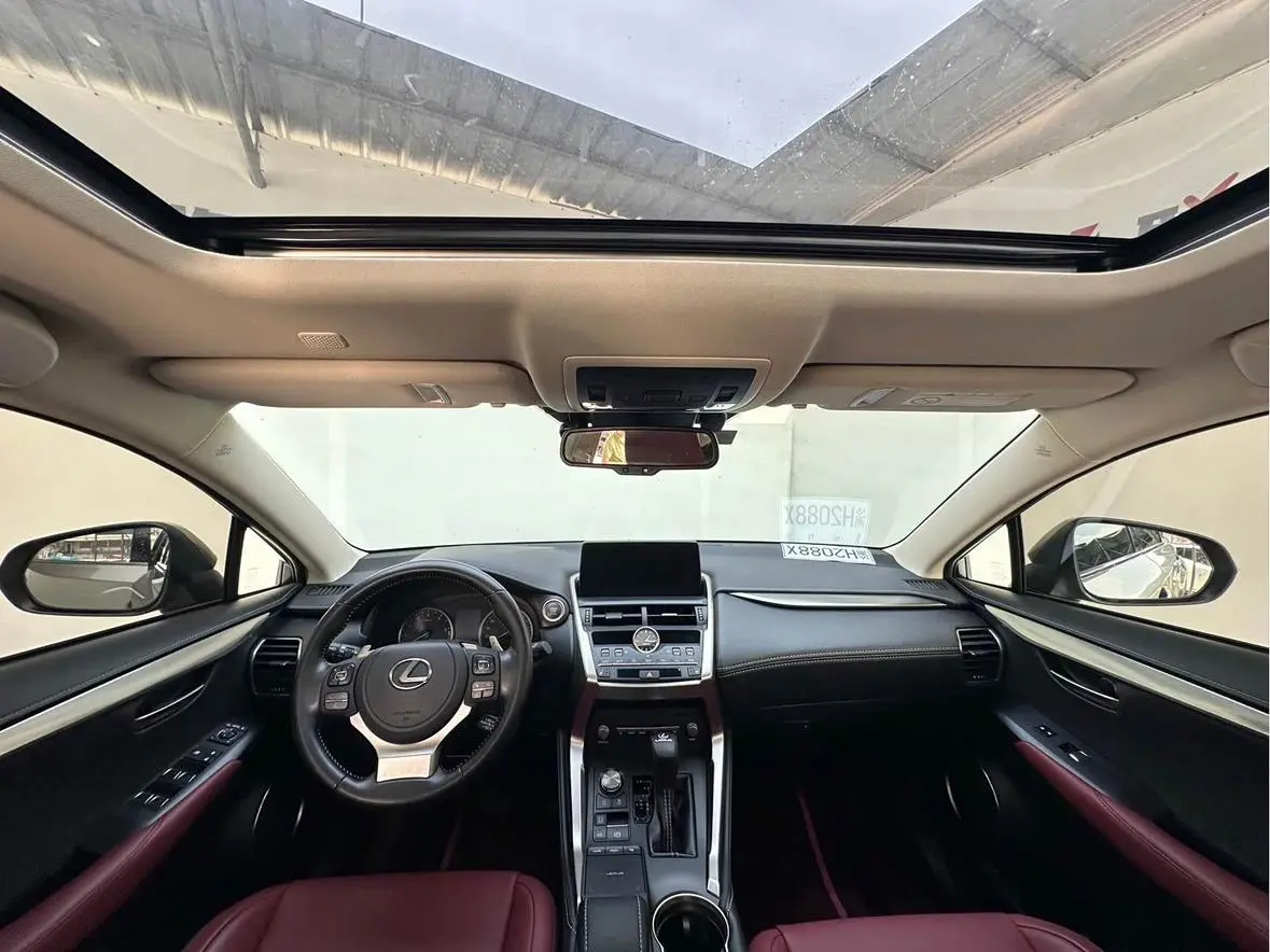 Lexus NX 2020 200 China VI