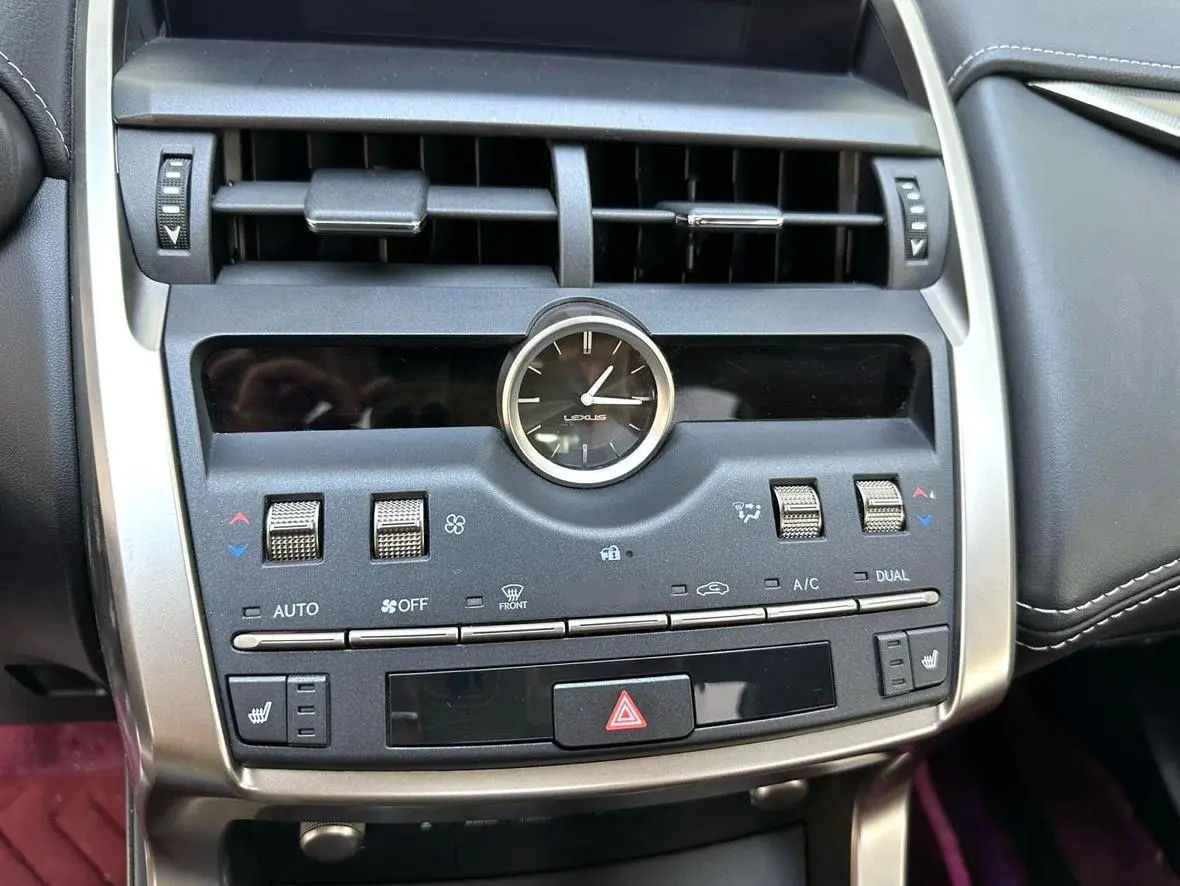 Lexus NX 2020 200 China VI