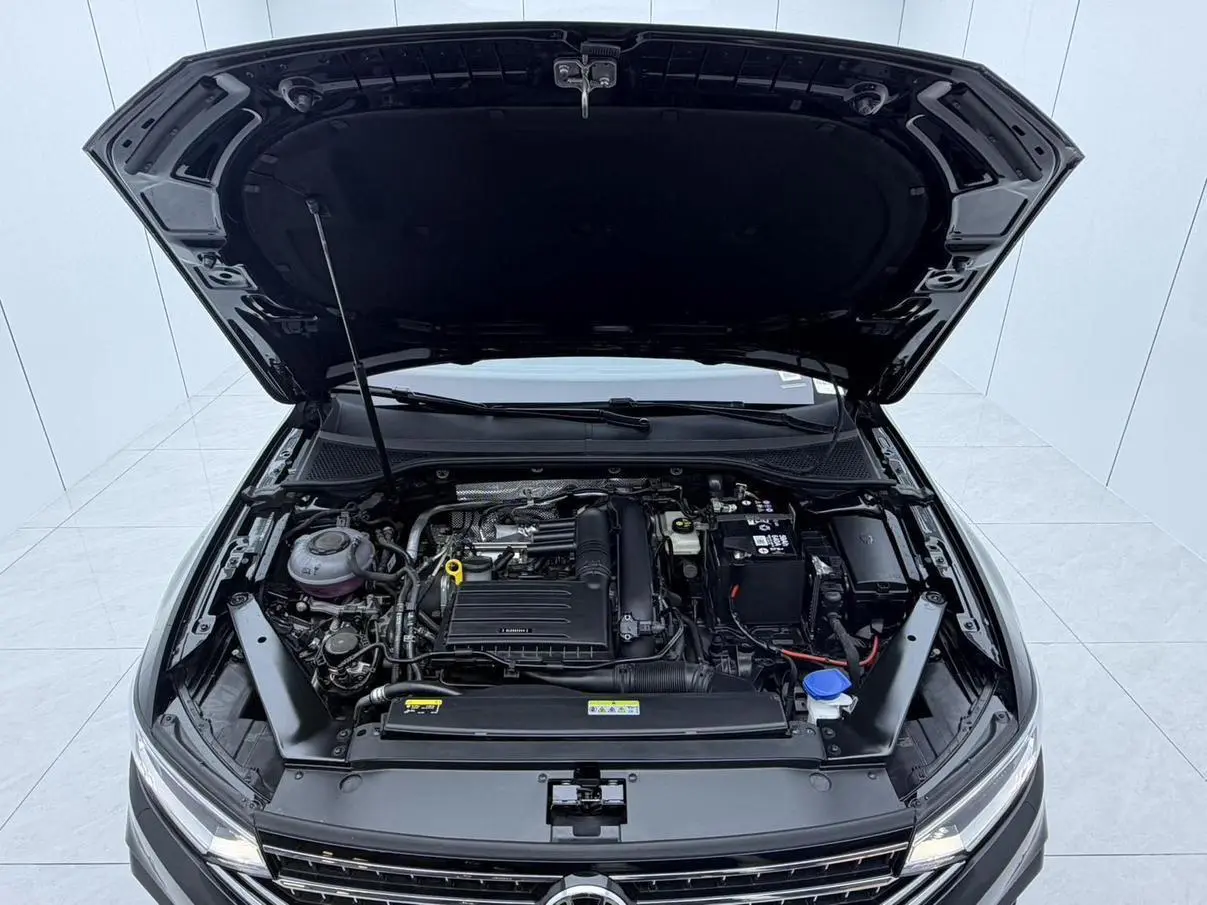 Volkswagen Magotan 2025 Facelift 280TSI DSG Luxury
