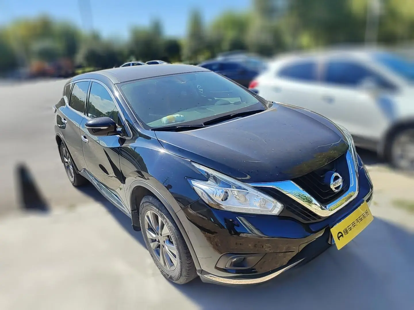 Nissan Murano 2019 2.5L XE 2WD Elite China VI