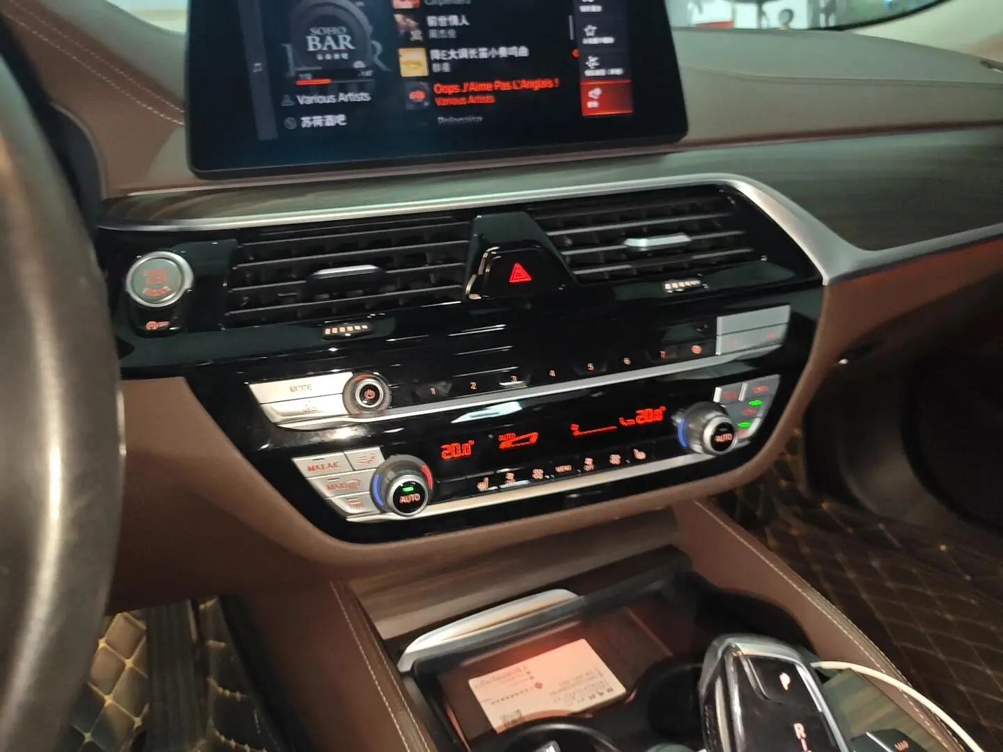 BMW 5 Series 2020 530Li Leading Luxury Package