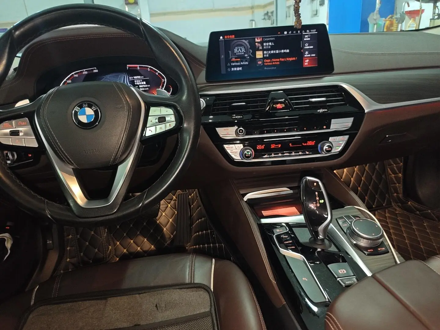 BMW 5 Series 2020 530Li Leading Luxury Package