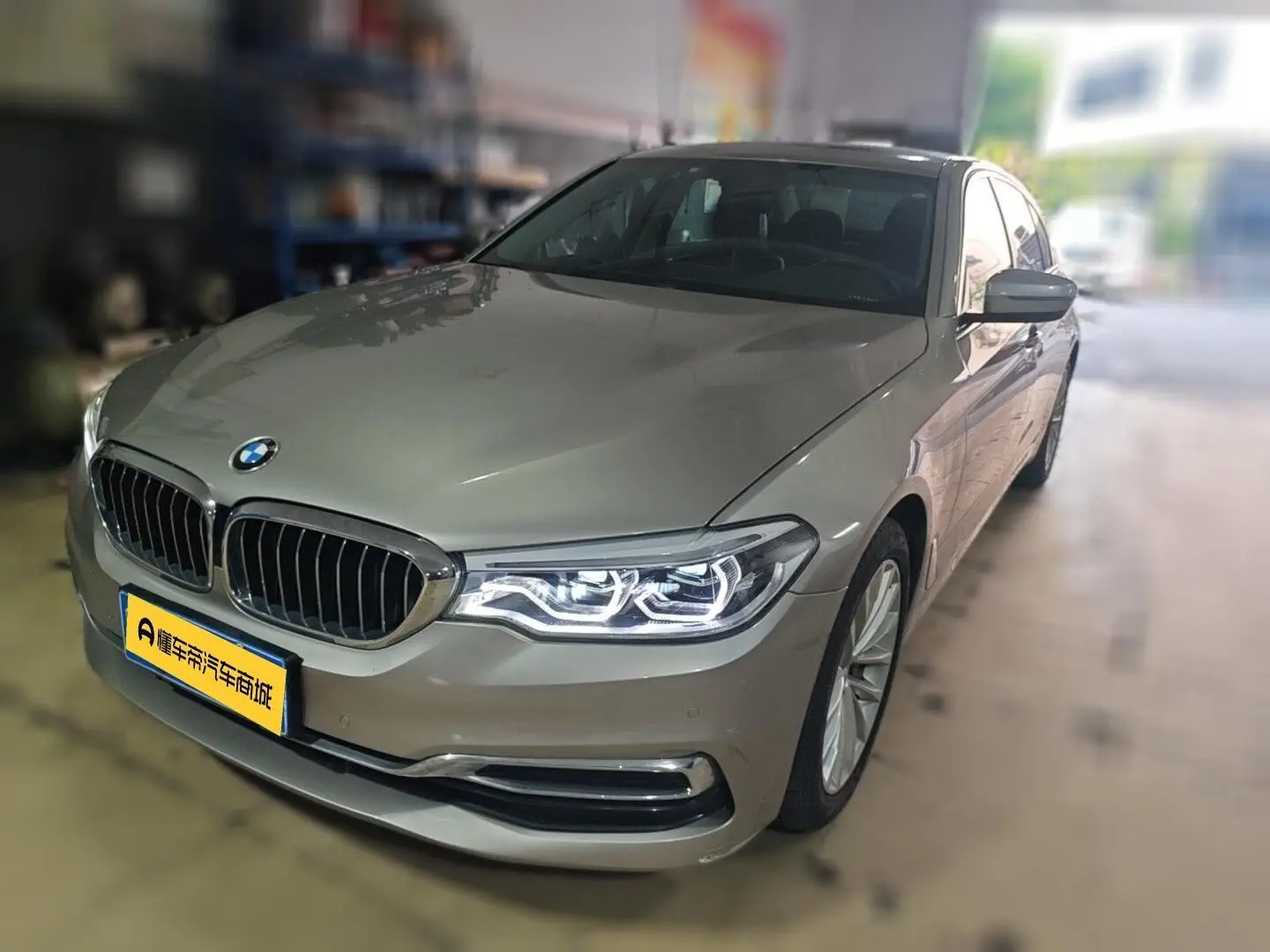 BMW 5 Series 2020 530Li Leading Luxury Package