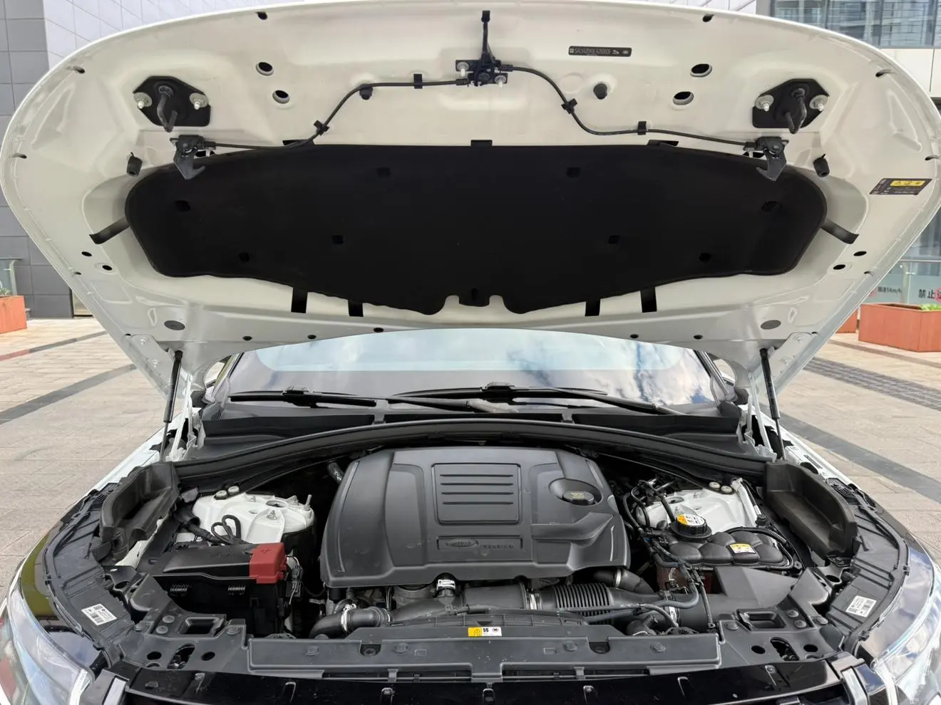 Land Rover Range Rover Star 2020 P250 R-DYNAMIC S