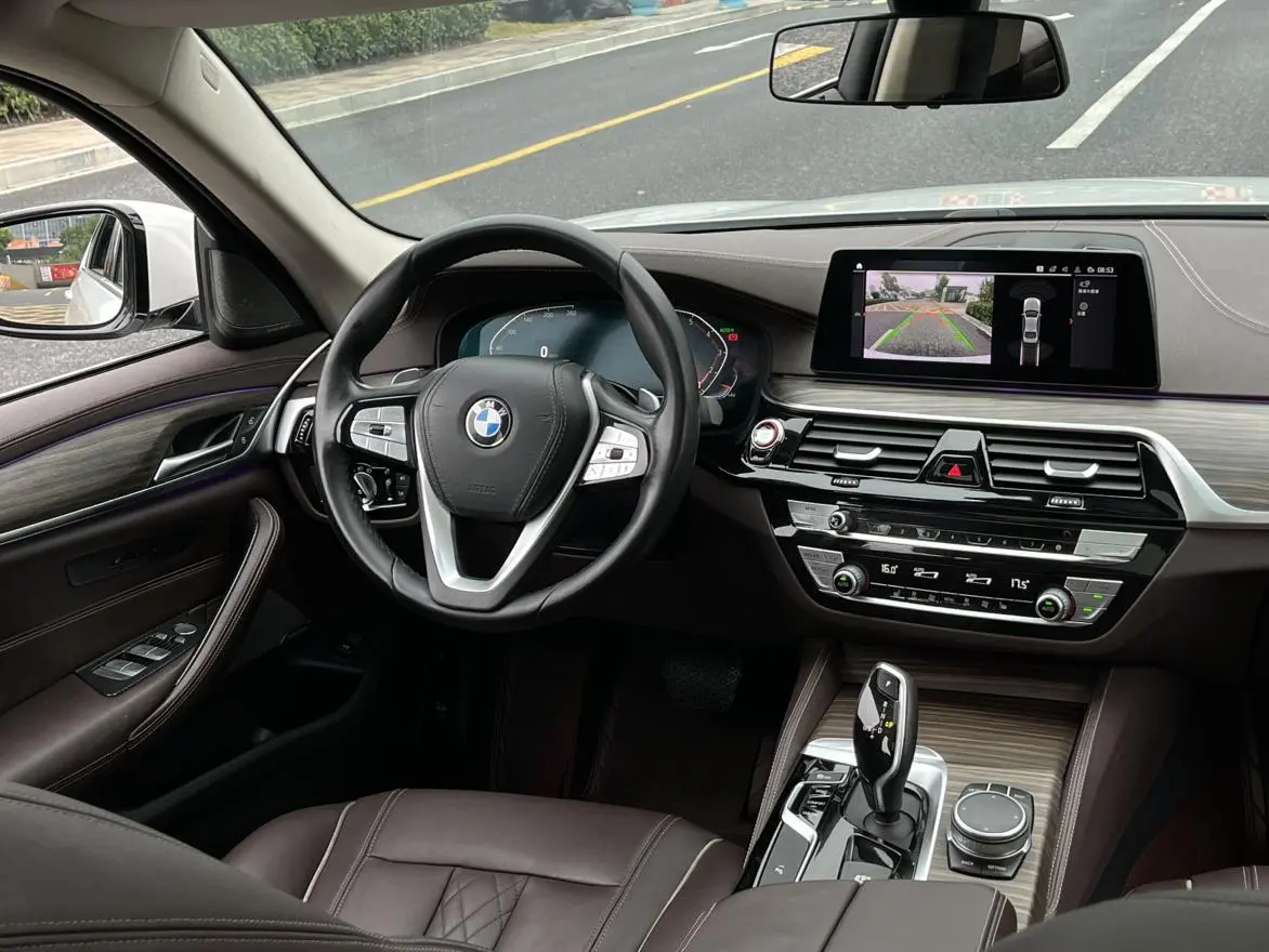 BMW 5 Series 2020 530Li Leading Luxury Package