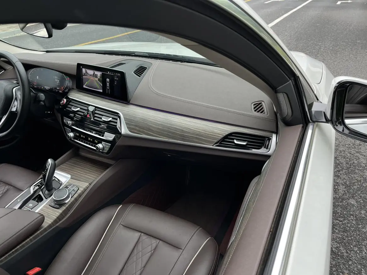 BMW 5 Series 2020 530Li Leading Luxury Package