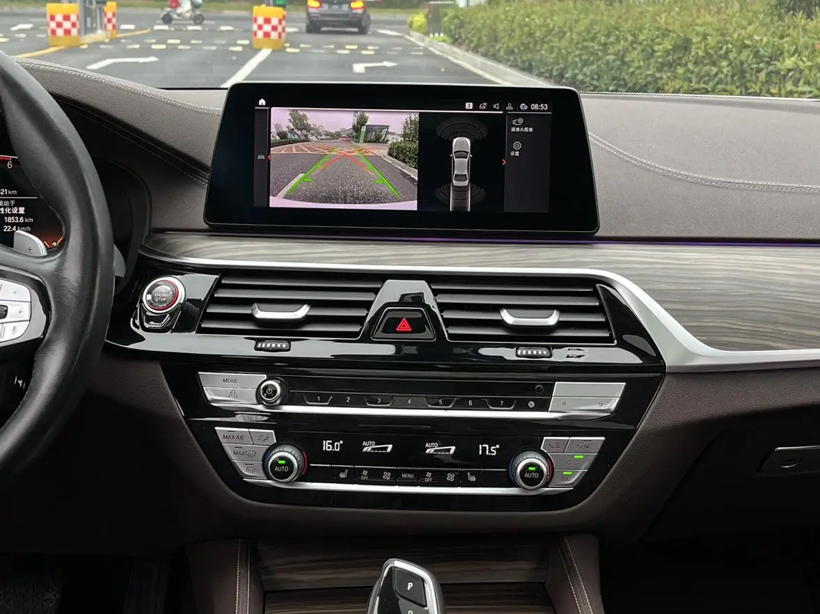 BMW 5 Series 2020 530Li Leading Luxury Package