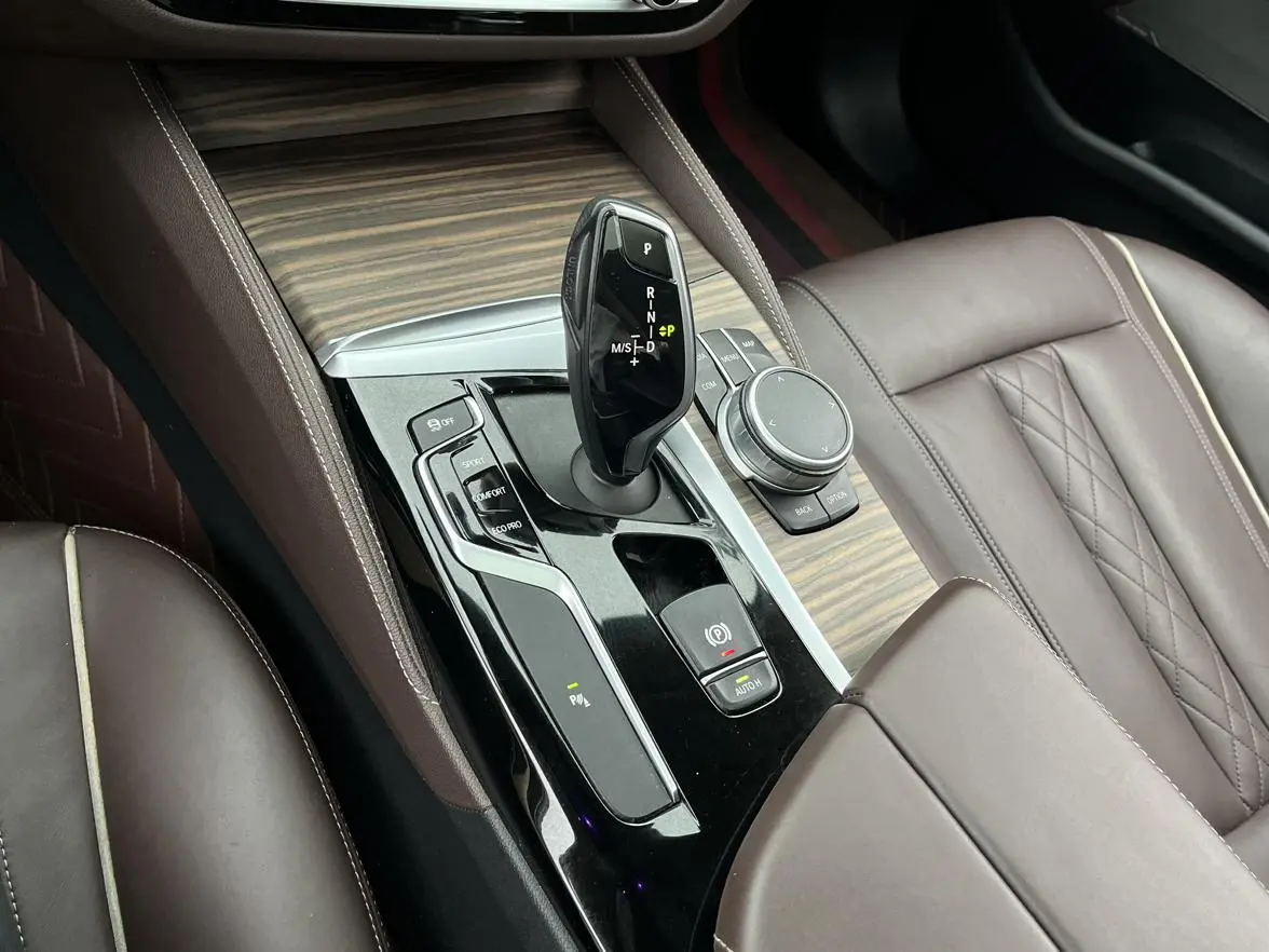 BMW 5 Series 2020 530Li Leading Luxury Package