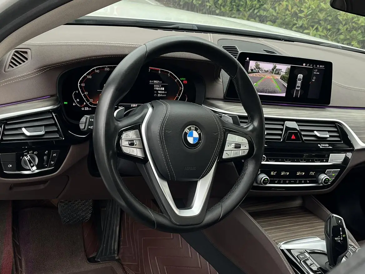 BMW 5 Series 2020 530Li Leading Luxury Package