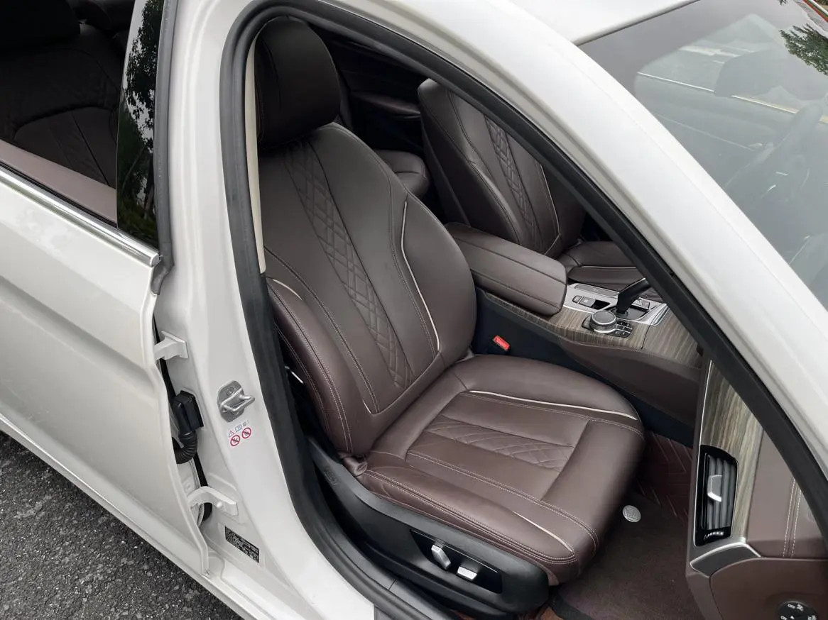 BMW 5 Series 2020 530Li Leading Luxury Package