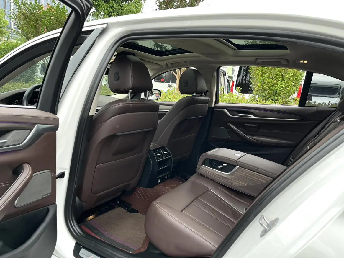 BMW 5 Series 2020 530Li Leading Luxury Package
