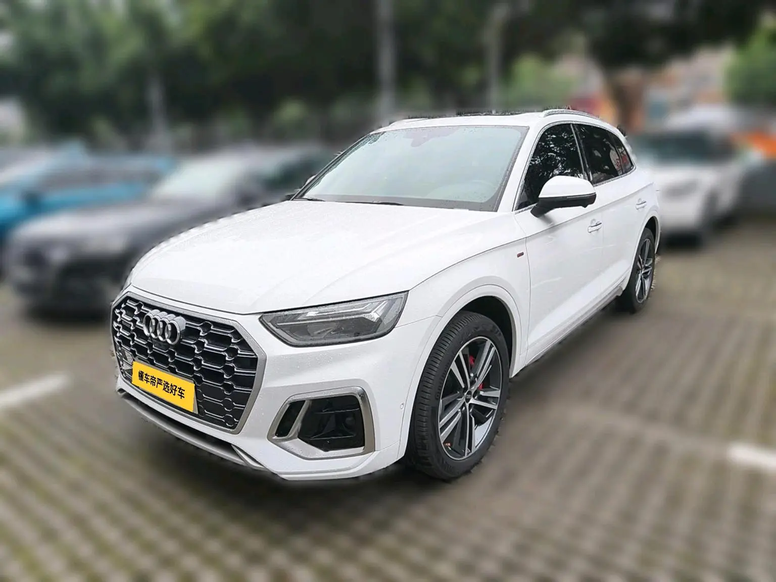 Audi Q5L 2022 40T Dynamic Luxury