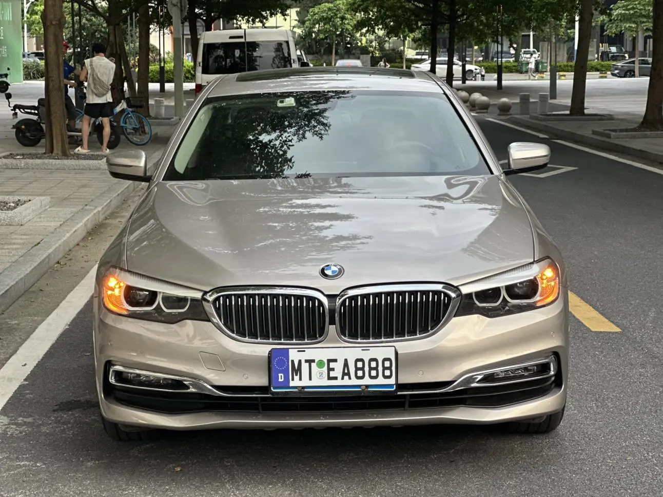 BMW 5 Series 2019 530Li Leading Luxury Package