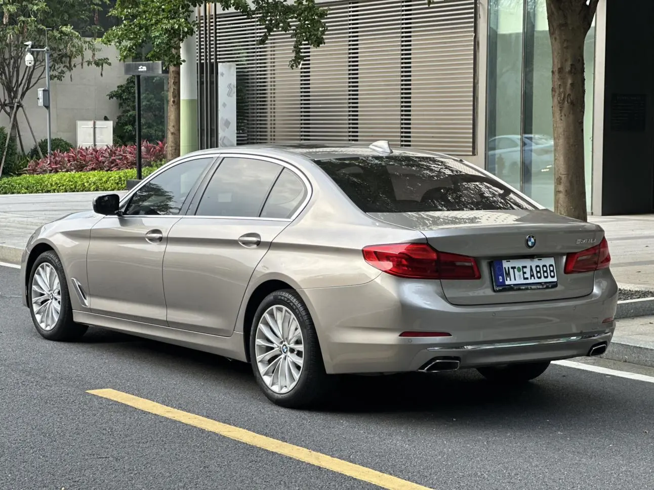 BMW 5 Series 2019 530Li Leading Luxury Package