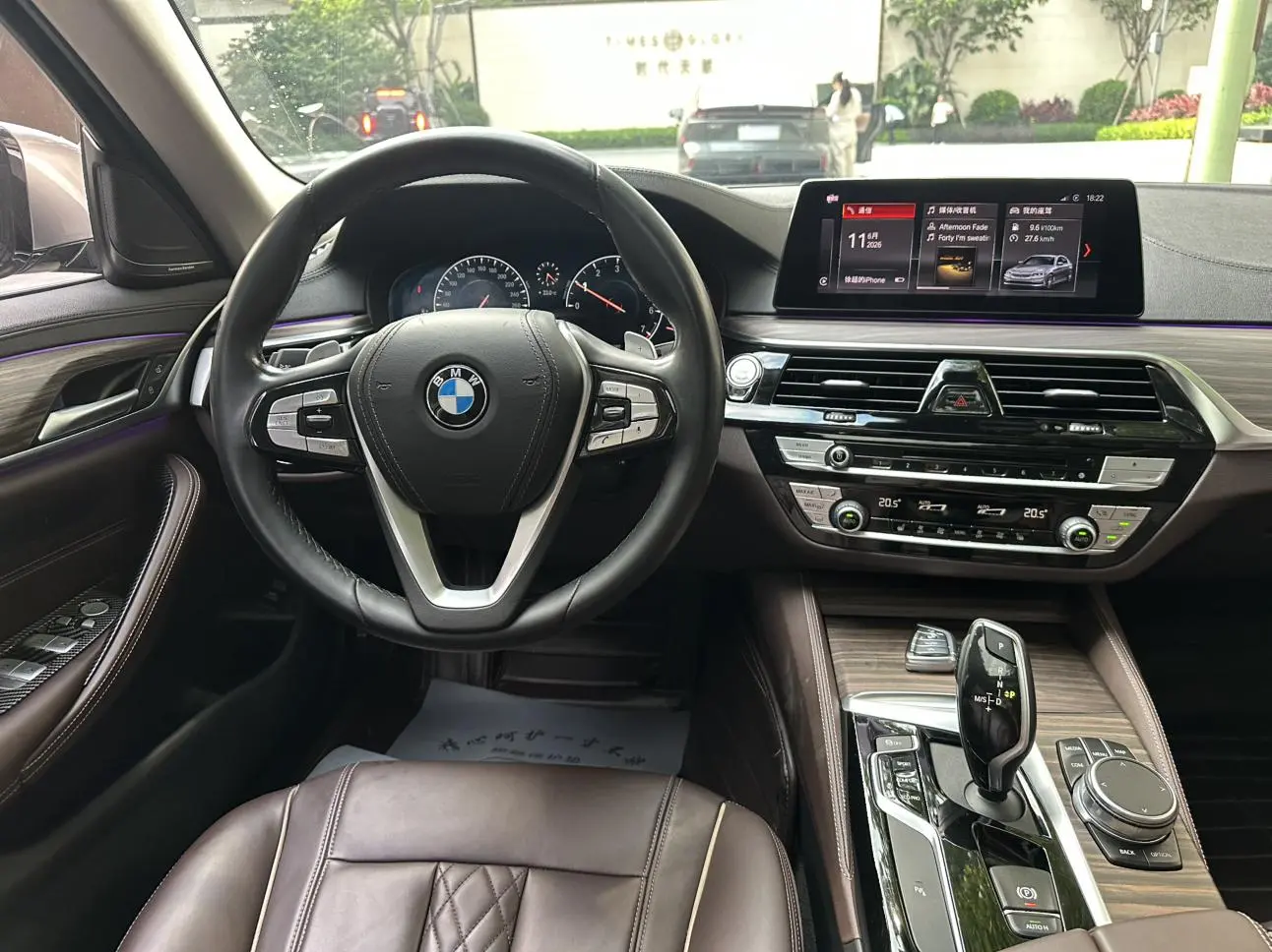 BMW 5 Series 2019 530Li Leading Luxury Package