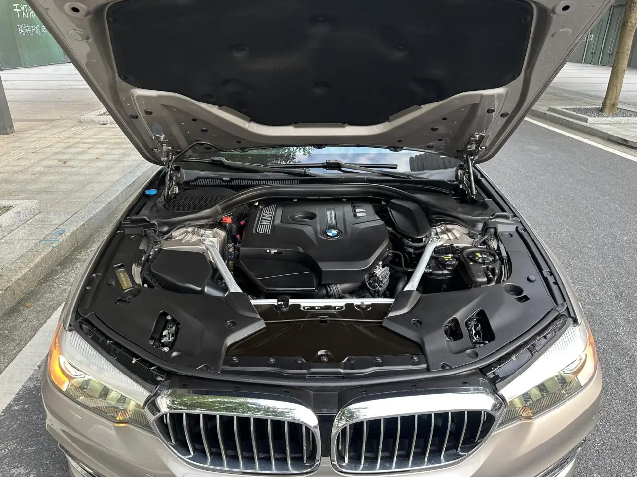 BMW 5 Series 2019 530Li Leading Luxury Package