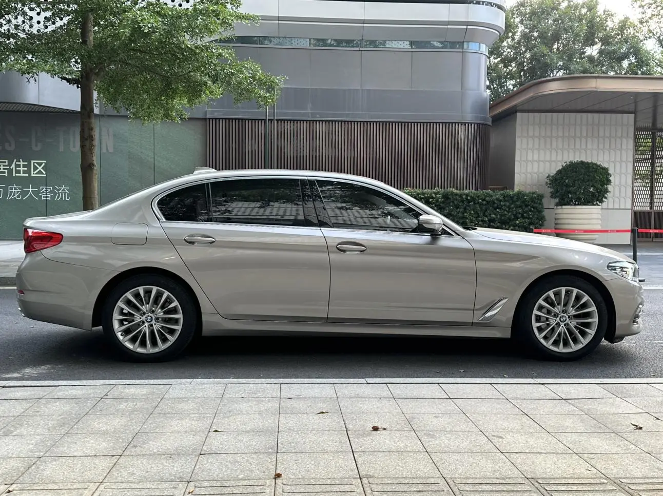 BMW 5 Series 2019 530Li Leading Luxury Package
