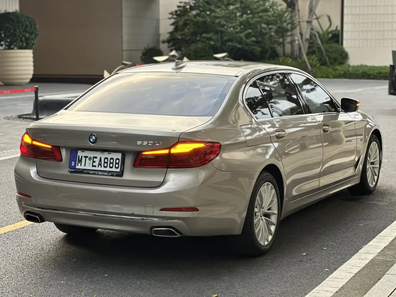 BMW 5 Series 2019 530Li Leading Luxury Package