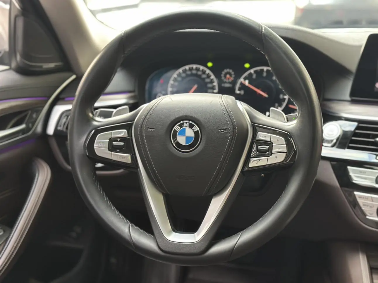 BMW 5 Series 2019 530Li Leading Luxury Package