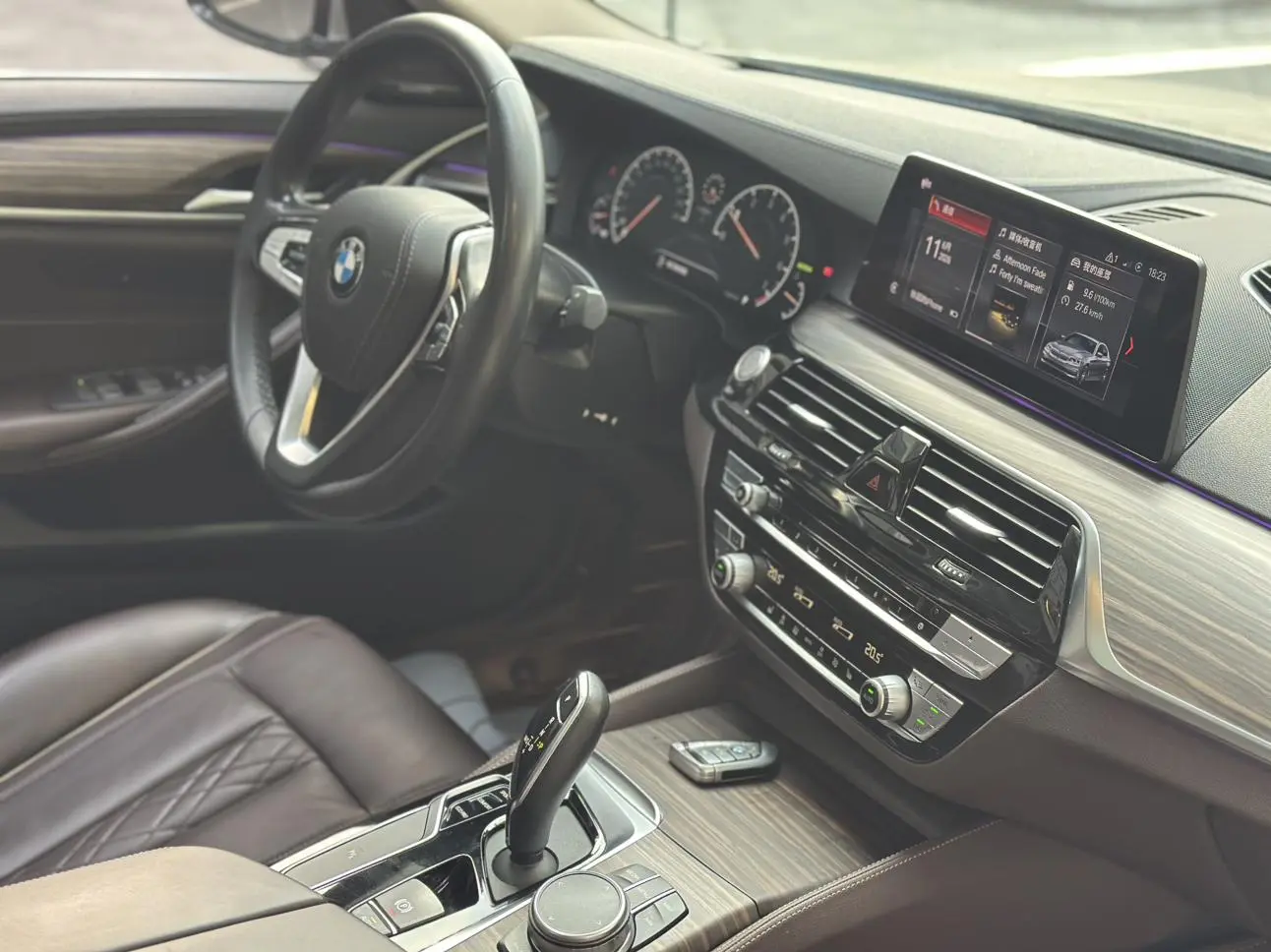BMW 5 Series 2019 530Li Leading Luxury Package