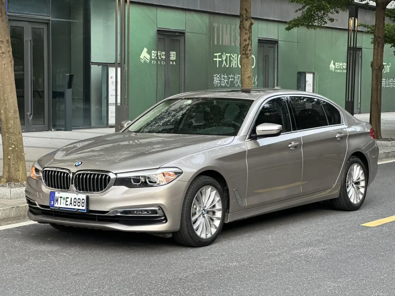 BMW 5 Series 2019 530Li Leading Luxury Package