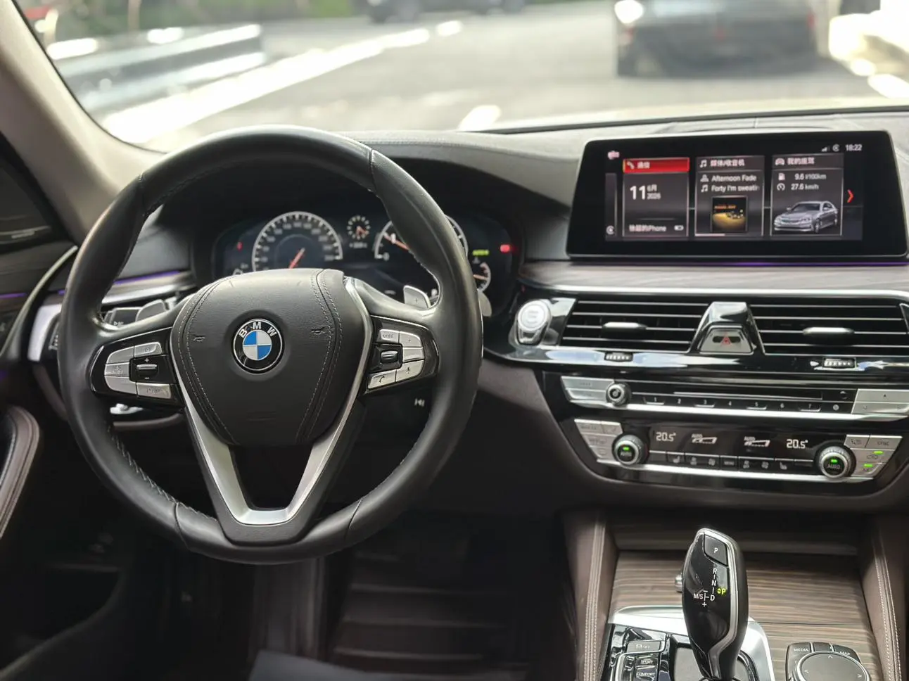 BMW 5 Series 2019 530Li Leading Luxury Package
