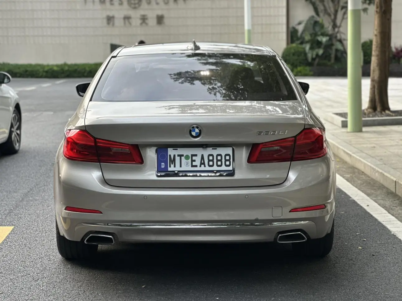 BMW 5 Series 2019 530Li Leading Luxury Package