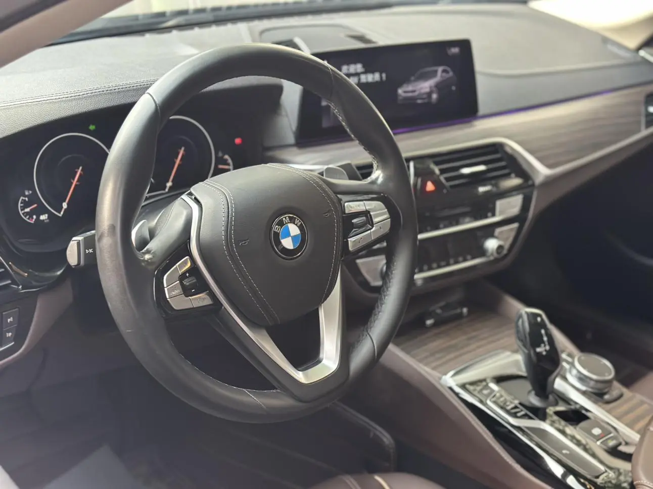 BMW 5 Series 2019 530Li Leading Luxury Package