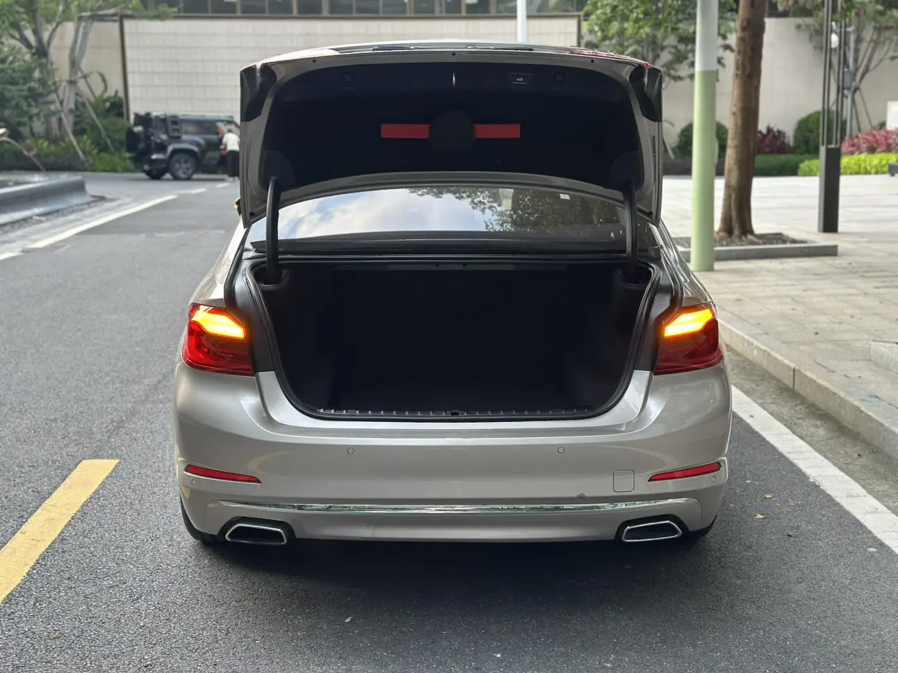 BMW 5 Series 2019 530Li Leading Luxury Package