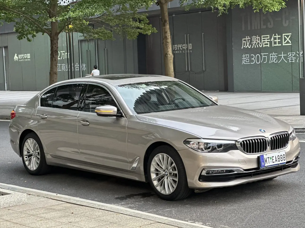 BMW 5 Series 2019 530Li Leading Luxury Package