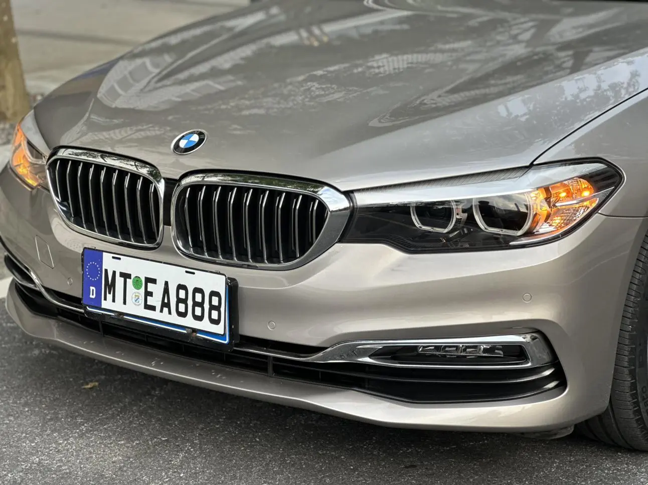 BMW 5 Series 2019 530Li Leading Luxury Package