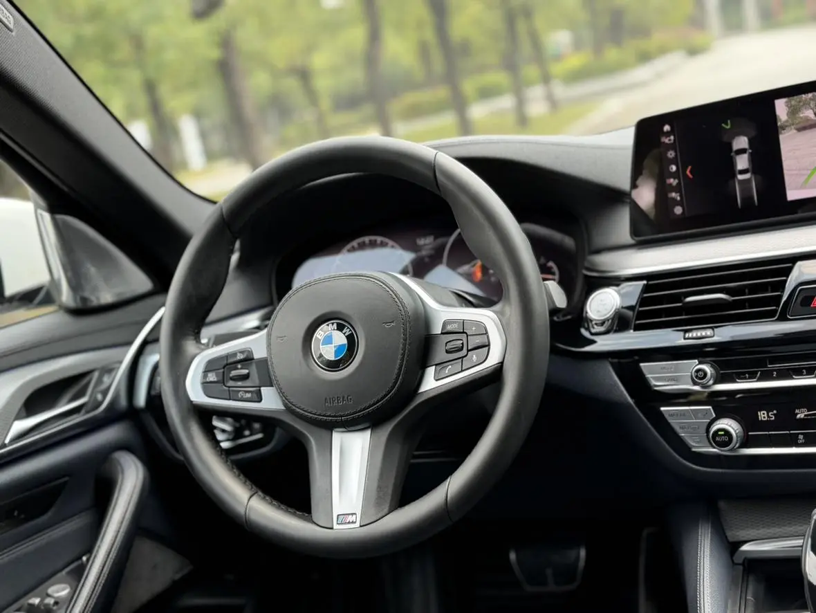 BMW 5 Series ( Import ) 2019 525i M Sport Package