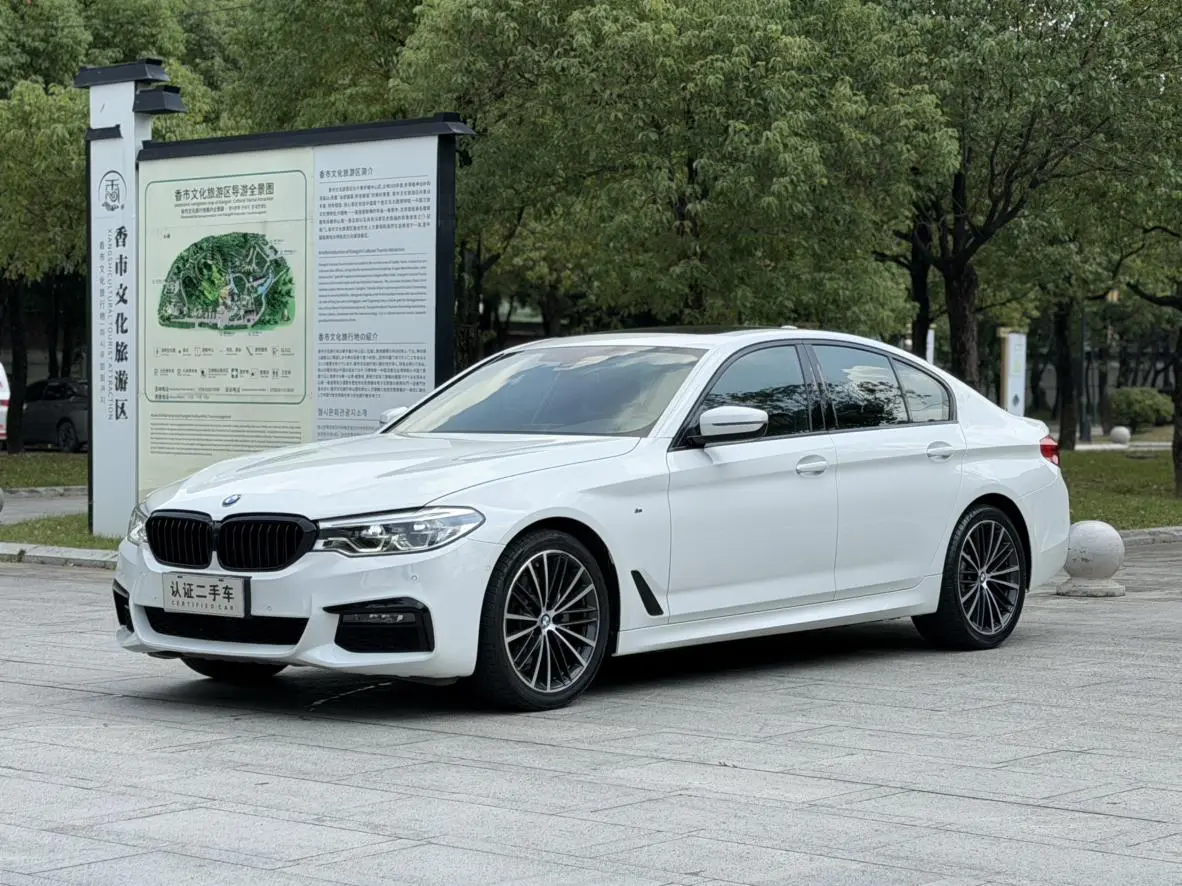 BMW 5 Series ( Import ) 2019 525i M Sport Package