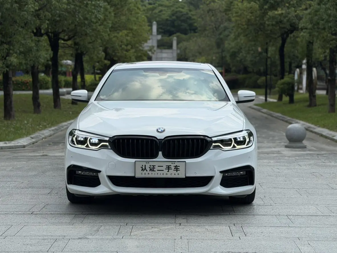 BMW 5 Series ( Import ) 2019 525i M Sport Package