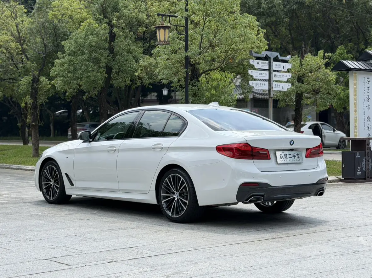 BMW 5 Series ( Import ) 2019 525i M Sport Package