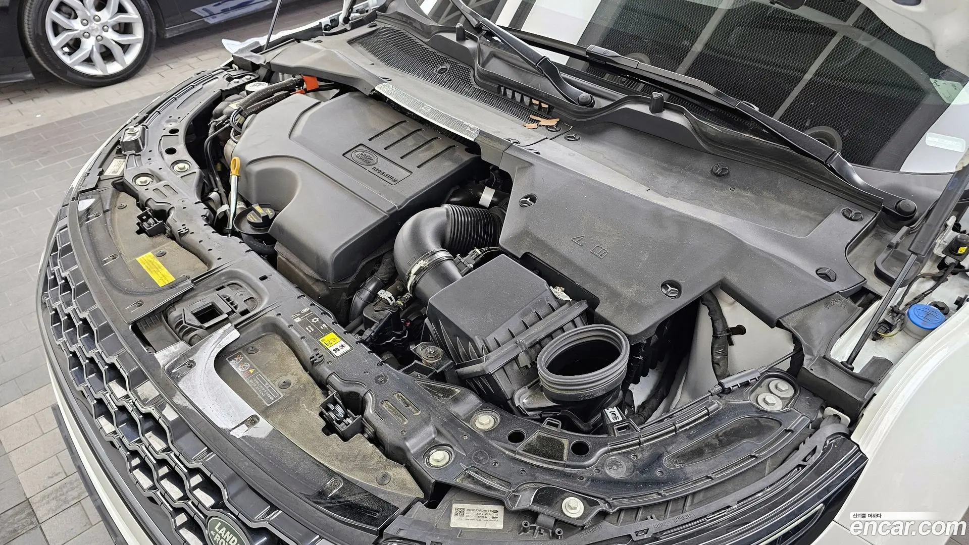 Land Rover Range Rover Evoque P250 R-Dynamic SE