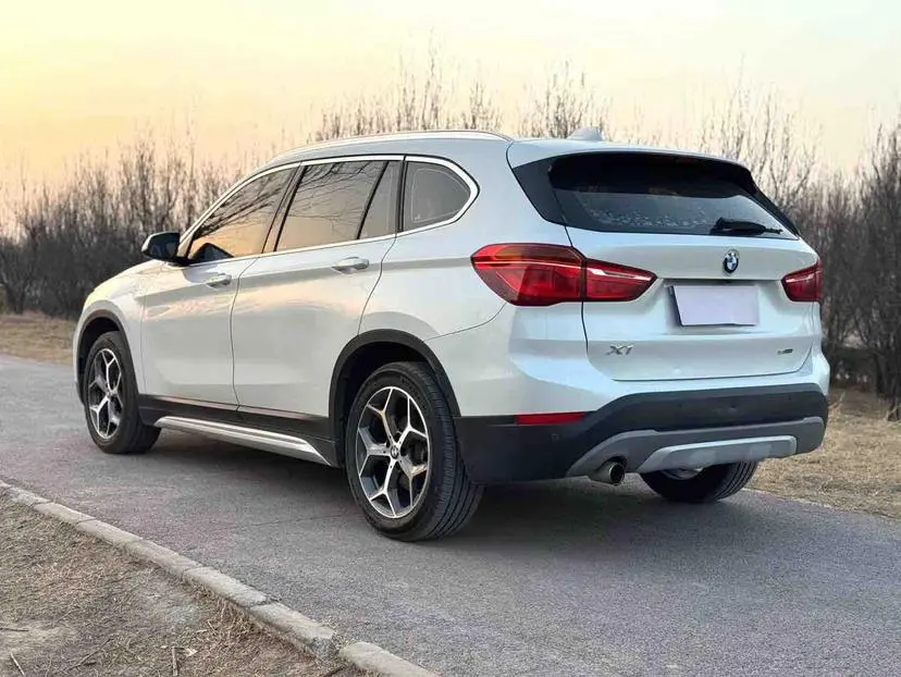BMW X1 2019 sDrive18Li Premium Plus