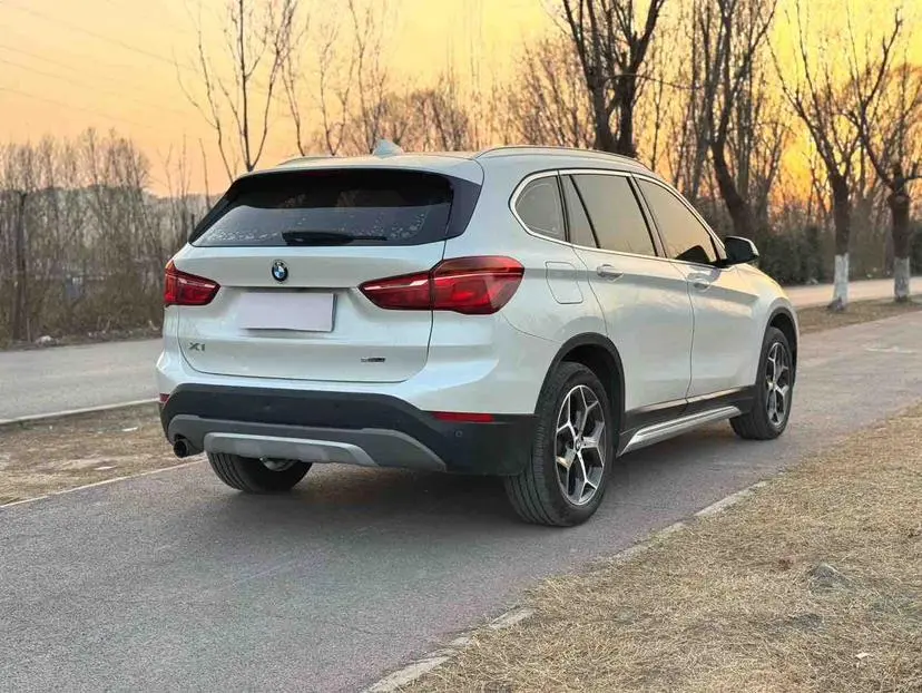 BMW X1 2019 sDrive18Li Premium Plus