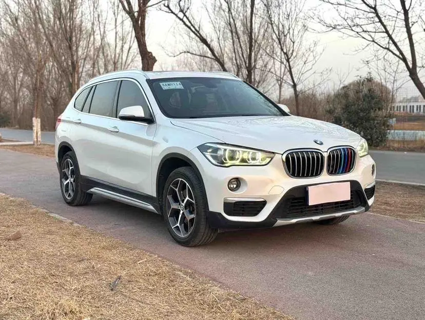BMW X1 2019 sDrive18Li Premium Plus