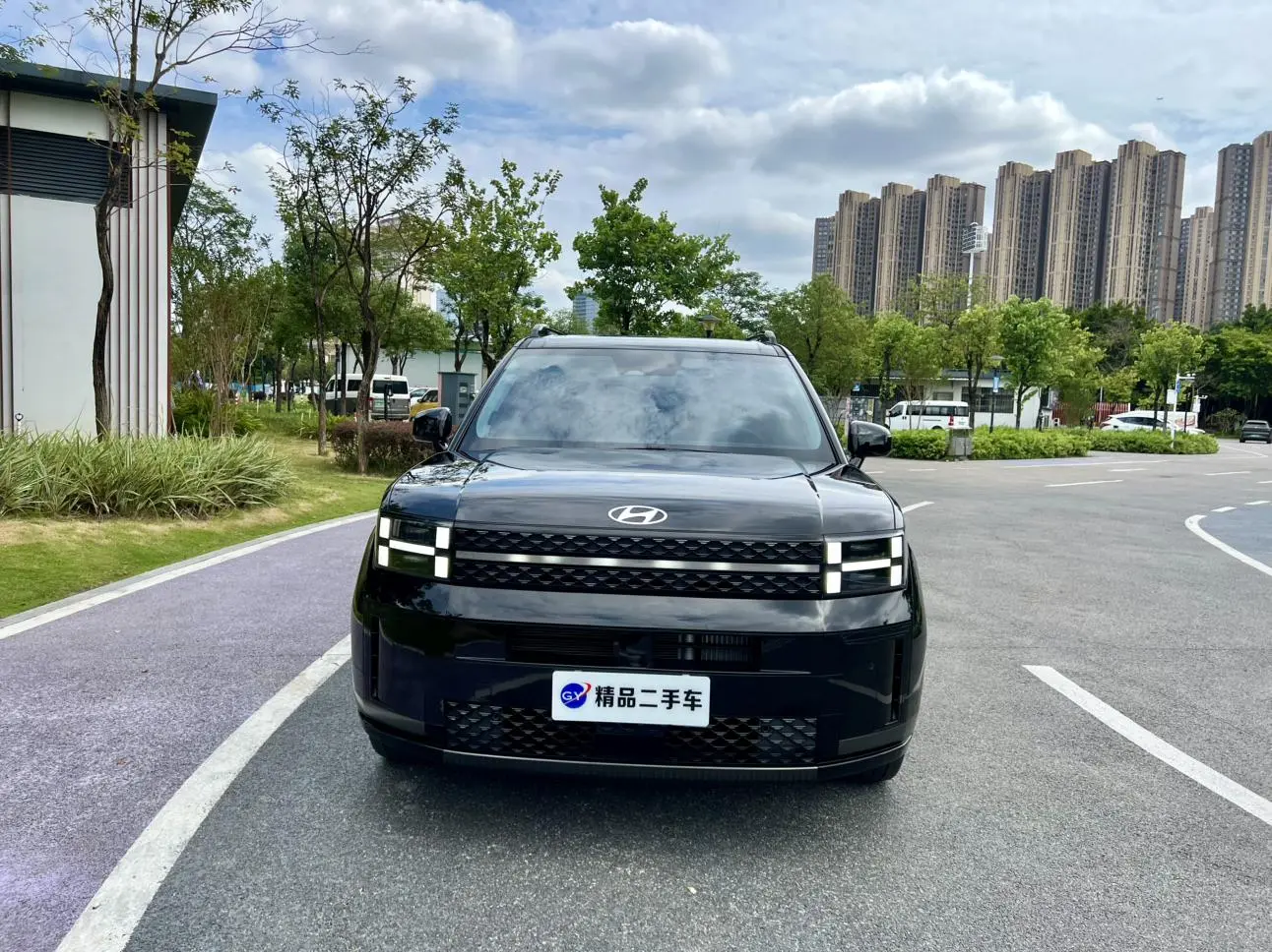 Hyundai 2024 2.0T Pro Max