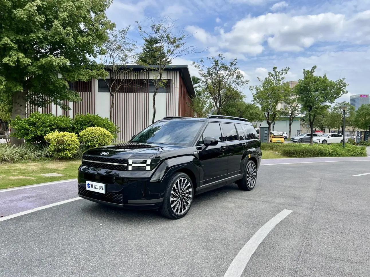 Hyundai 2024 2.0T Pro Max
