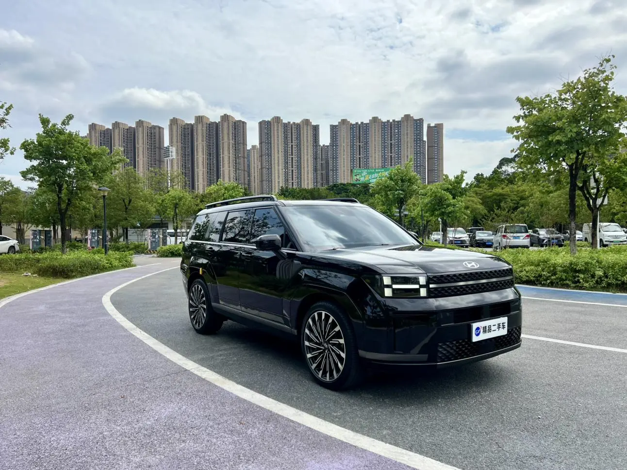 Hyundai 2024 2.0T Pro Max