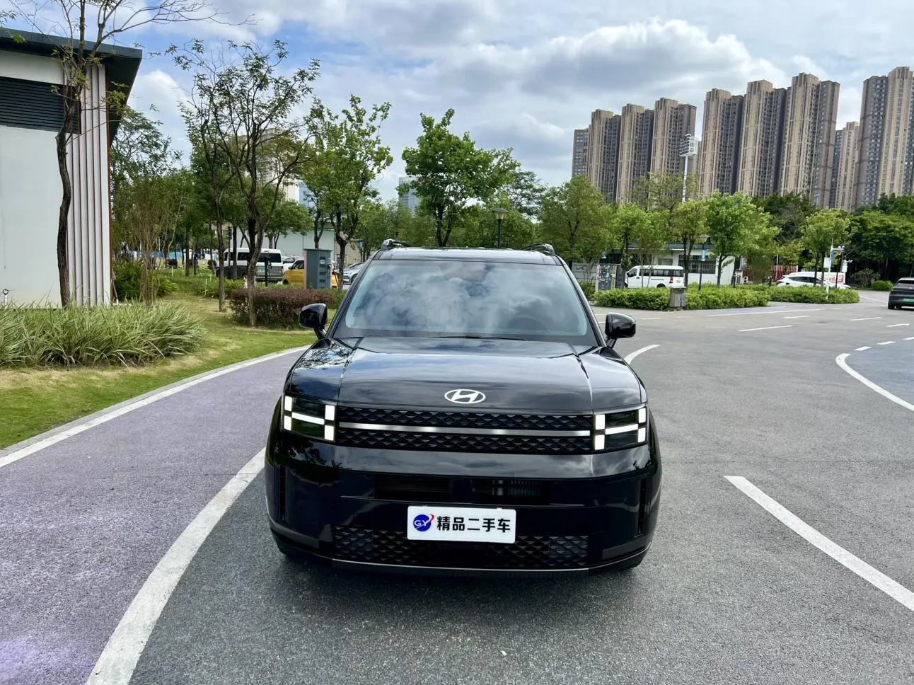 Hyundai 2024 2.0T Pro Max