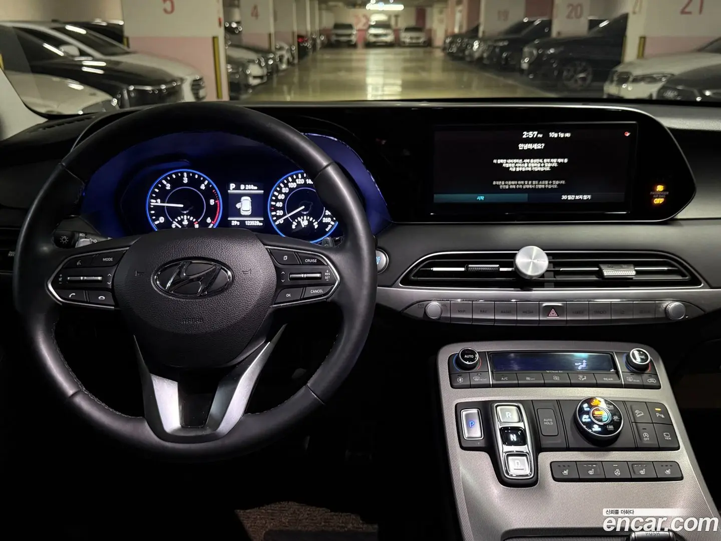 Hyundai Palisade Diesel 2.2 4WD