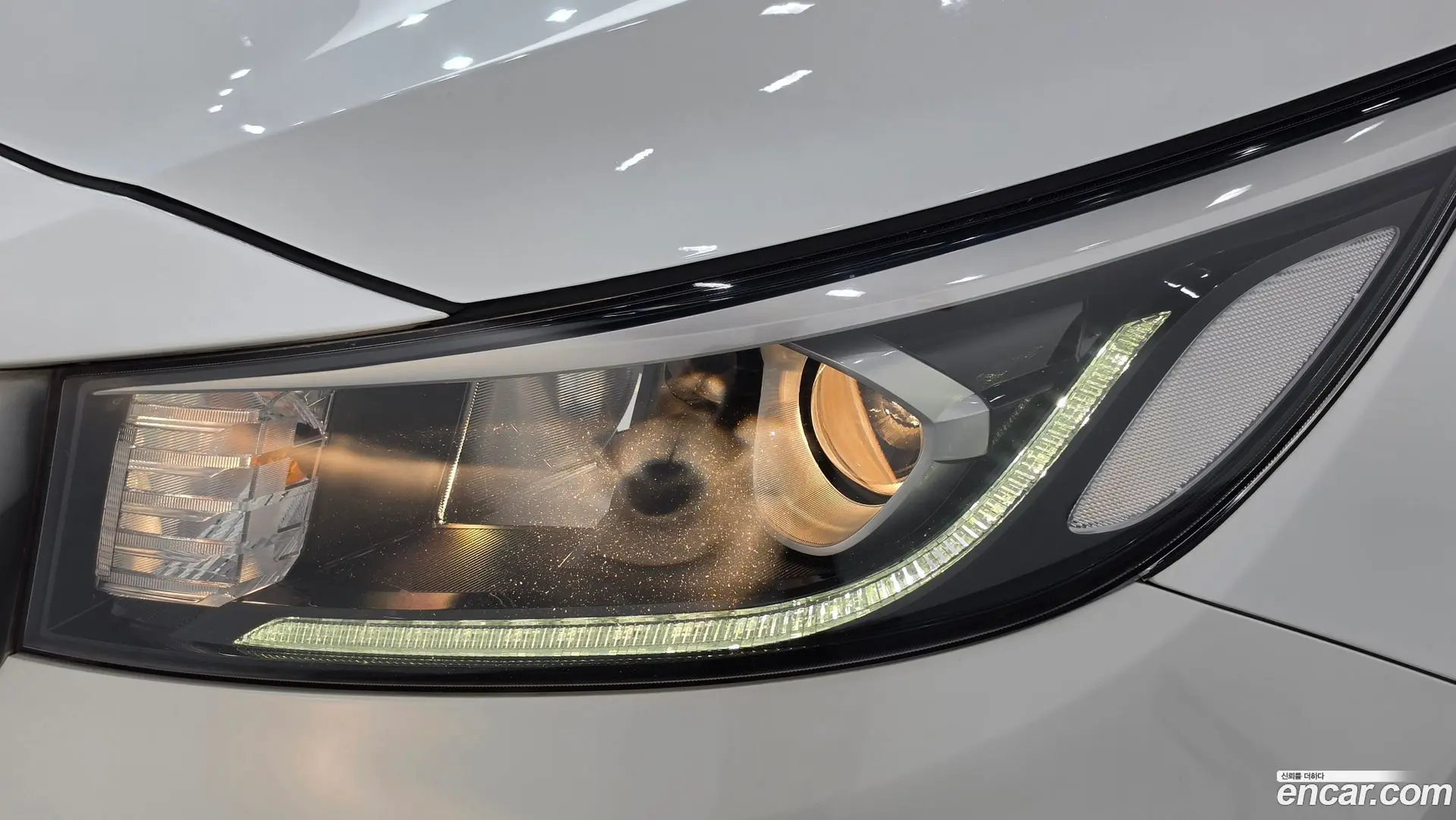 Kia Canival 9-Seater Luxury 2018