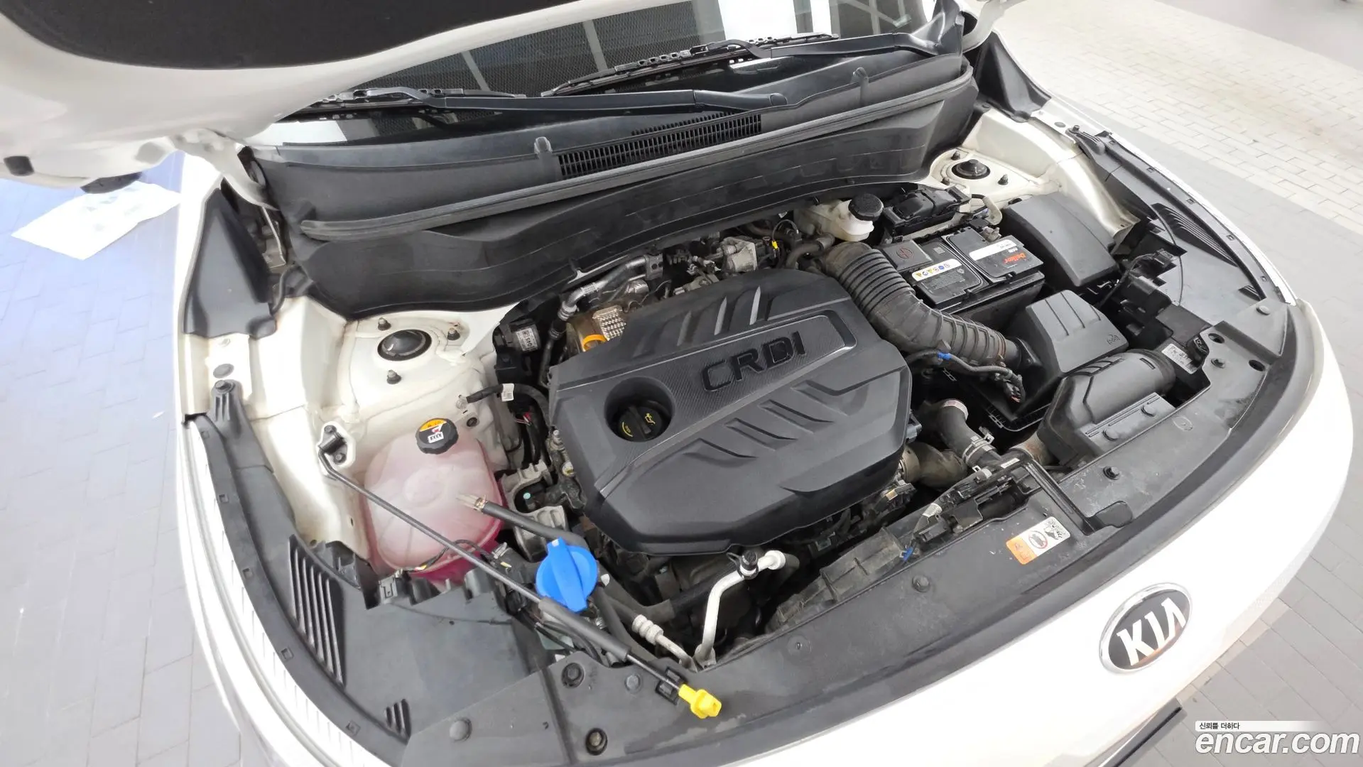 Kia Seltos Diesel 1.6 2WD