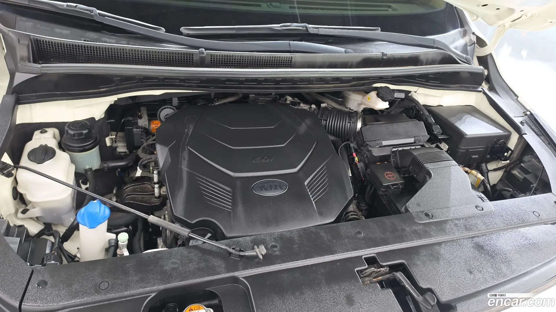 Kia Canival Gasoline 9-Seater Hi-Limousine