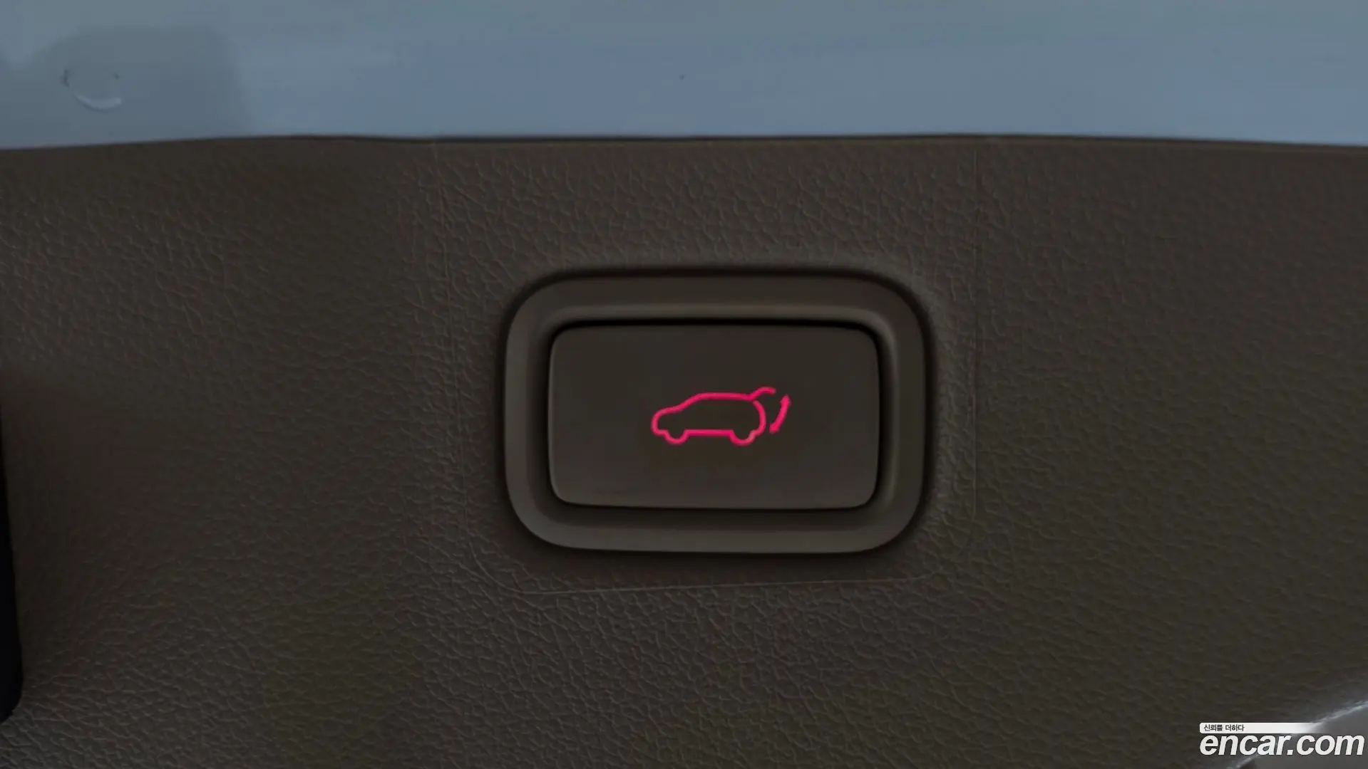 Kia Canival Gasoline 9-Seater Hi-Limousine