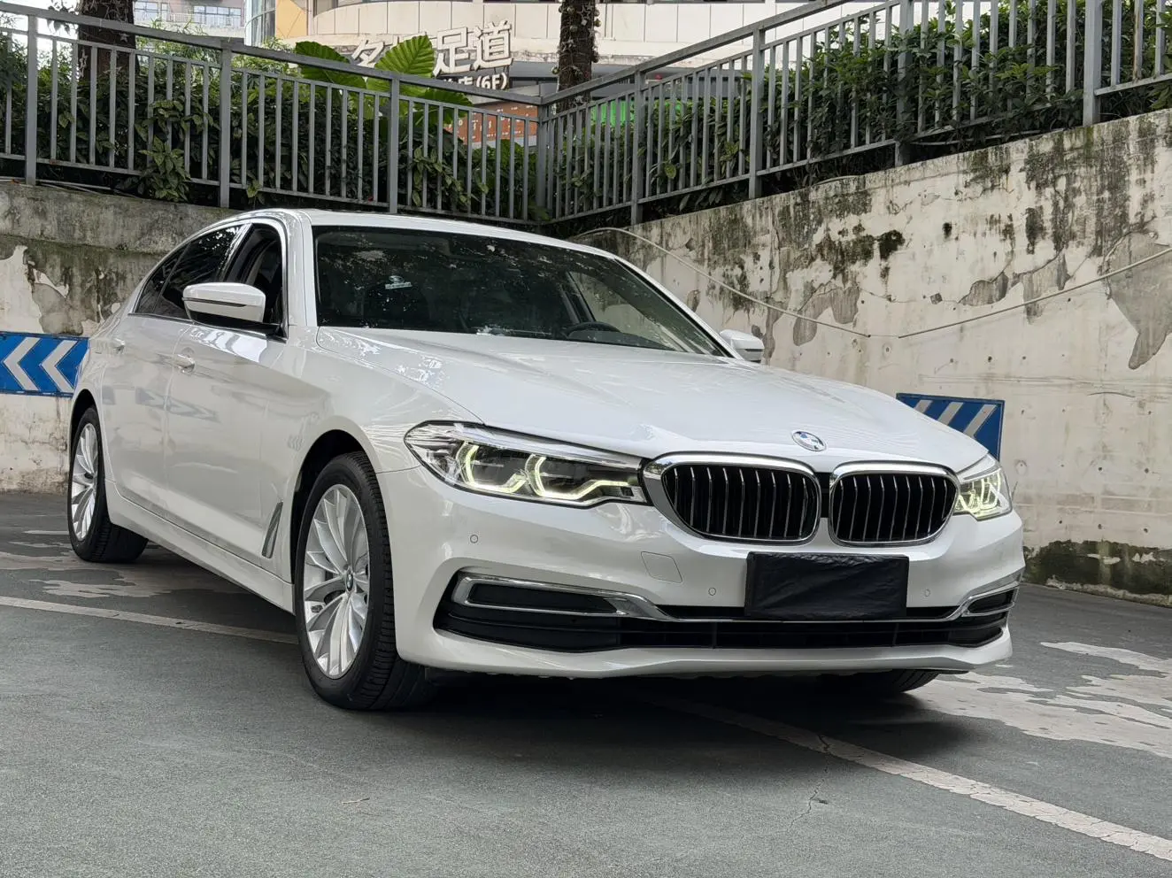BMW 5 Series 2020 530Li Leading Luxury Package
