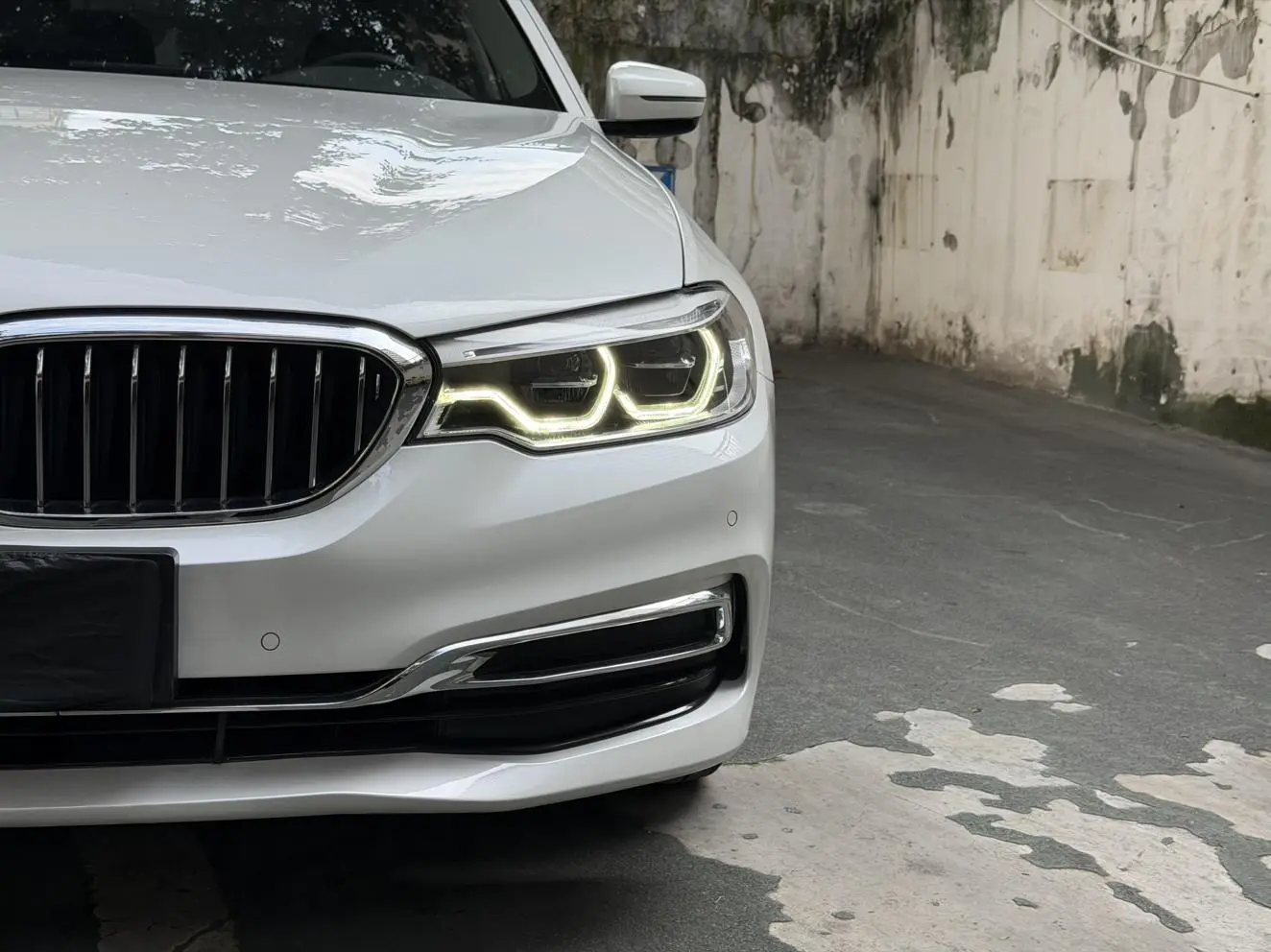 BMW 5 Series 2020 530Li Leading Luxury Package